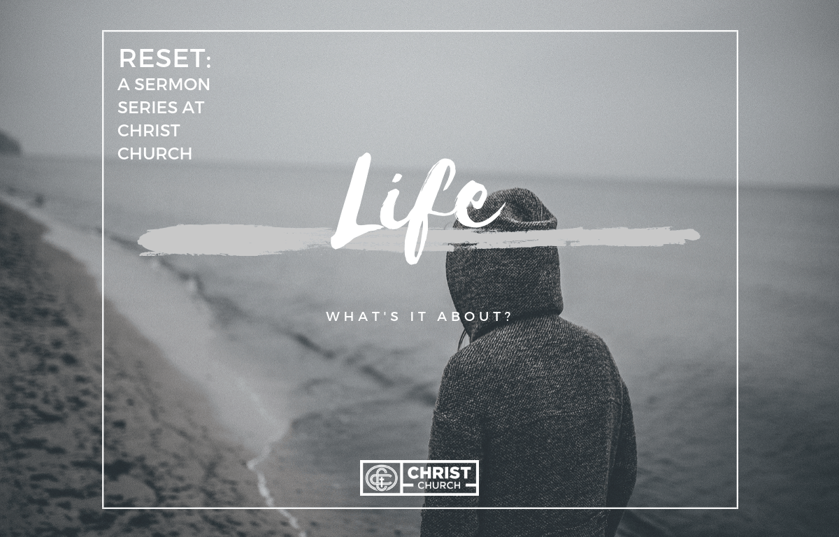 Reset: What\'s Life About