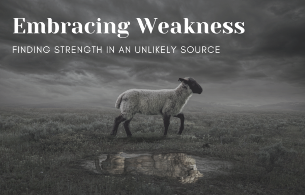 Embracing Weakness: A Case Study Image
