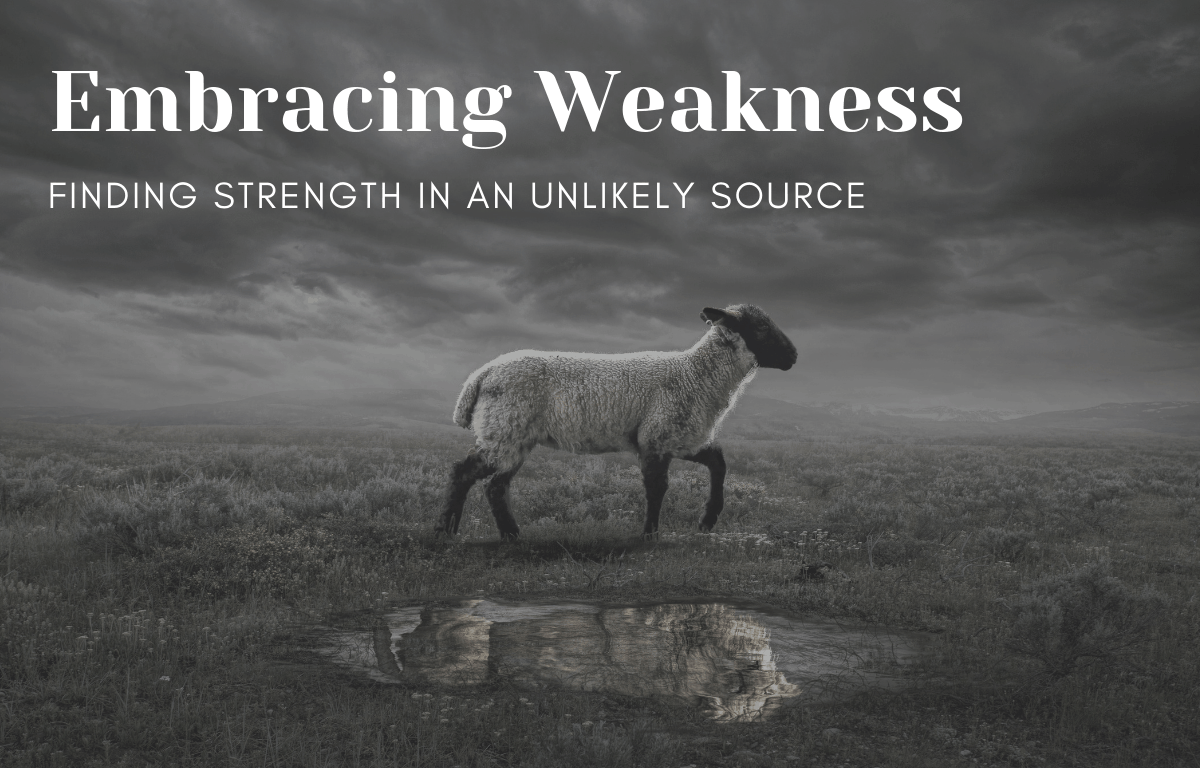 Embracing Weakness: Finding Strength in an Unlikely Source